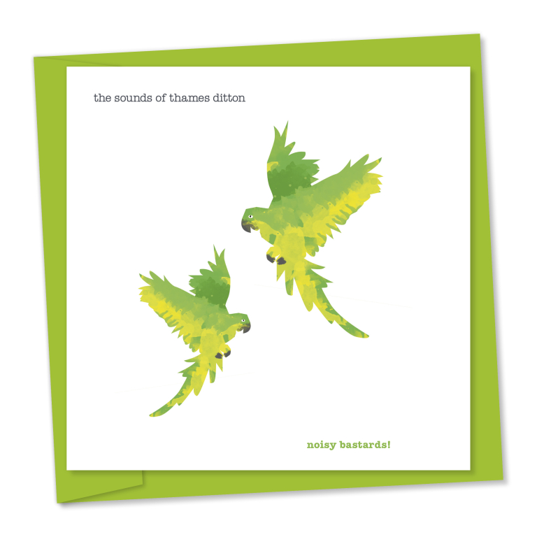 Parakeets – sounds of thames ditton – noisy bastards