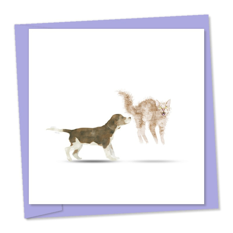 cat freaking out - puppy sniffing cat's behind – code: 2118