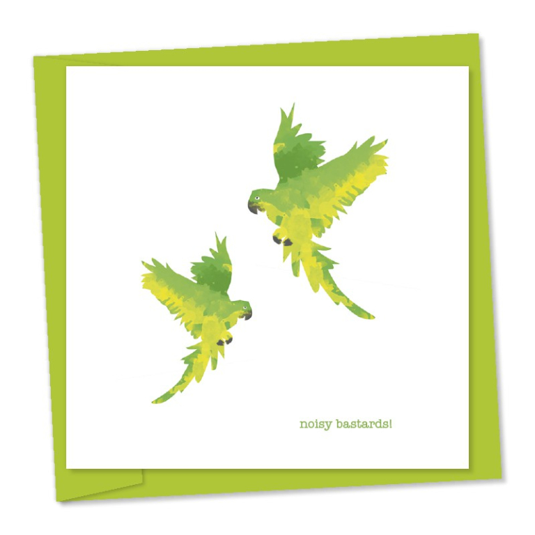 Parakeets - Noisy bastards – code 696