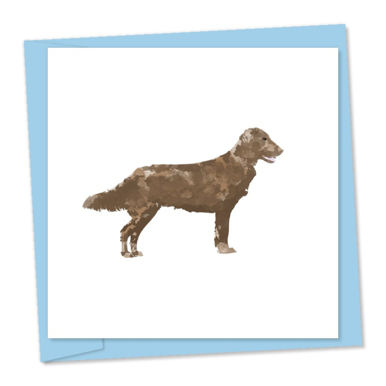 Flat coated retriever – code 617c