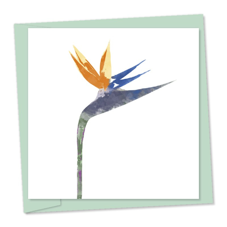 bird of paradise code 655