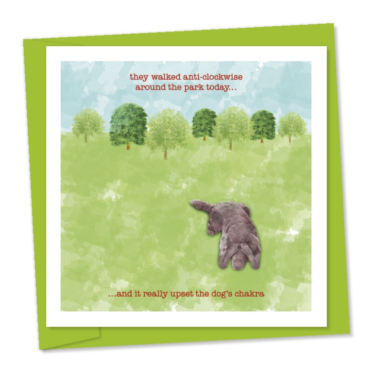 walking the dog anti-clockwise around the park – upset his chakra – code 277