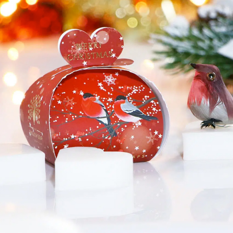 Merry Christmas Guest Soaps