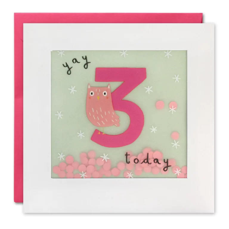 Age 3 Owl Paper Shakies Card