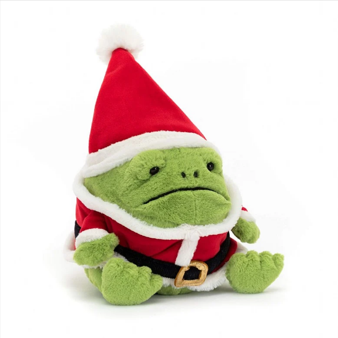 Santa Ricky Rain Frog - View Gifts | Thames Ditton