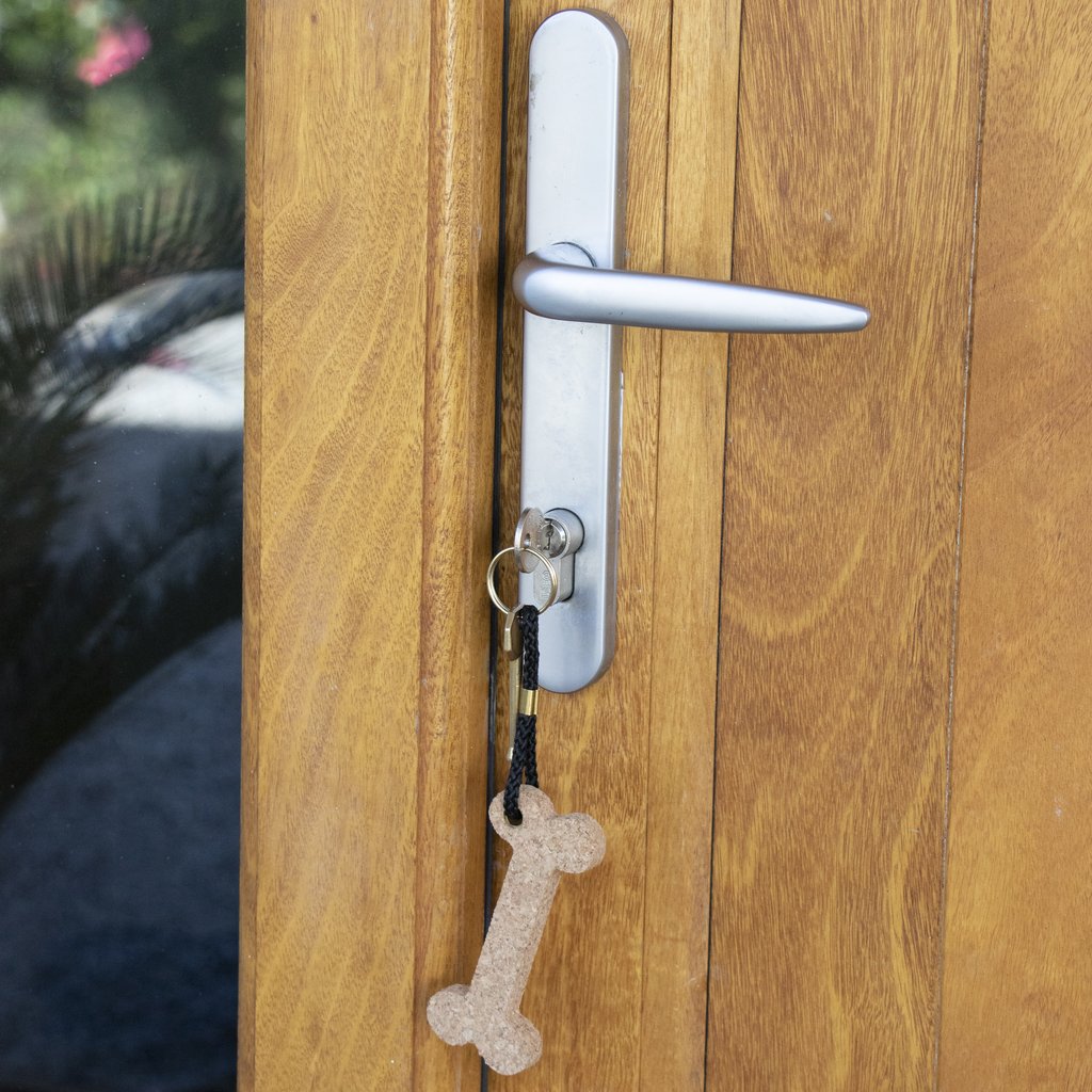 Cork Keyring | Bone