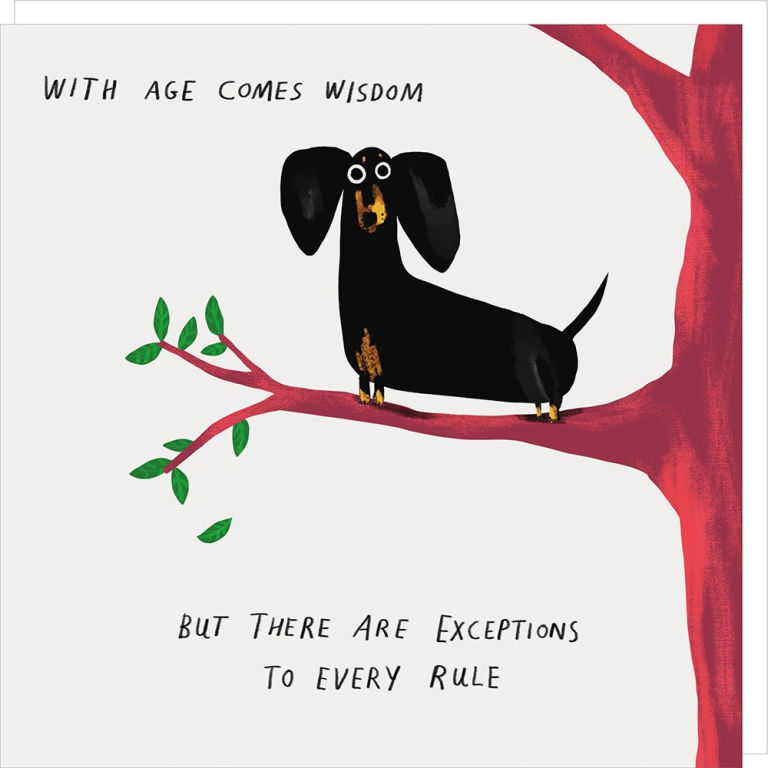 Wisdom | Funny birthday card