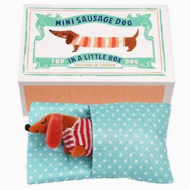 Mini Sausage Dog in A Little Box